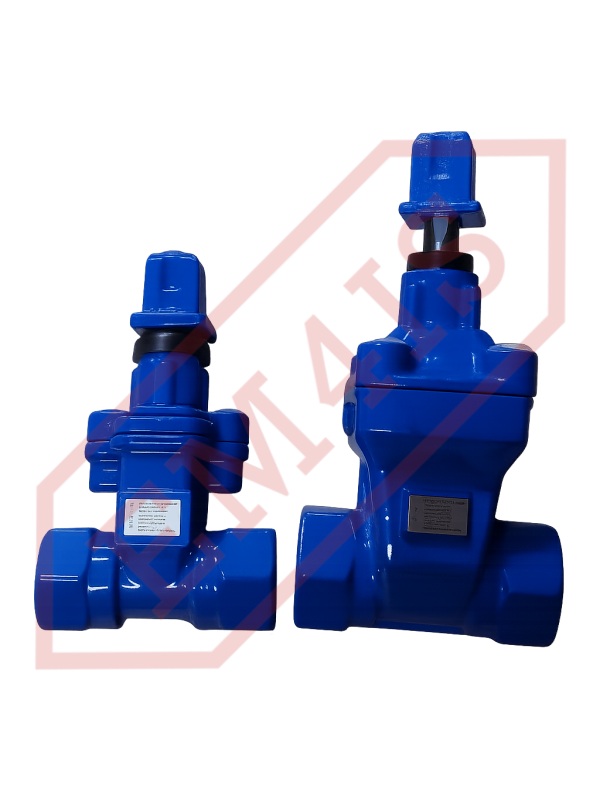 ZKO-G Rubberized threaded wedge gate valve for sewage - DN32/G1¼" - DN50/G2"
