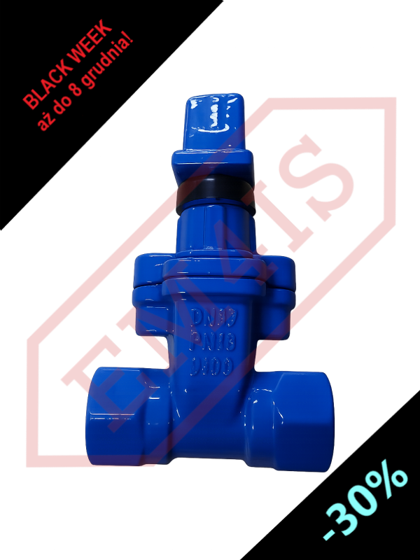 ZKO-G Rubberized threaded wedge gate valve for sewage - DN32/G1¼" - DN50/G2"