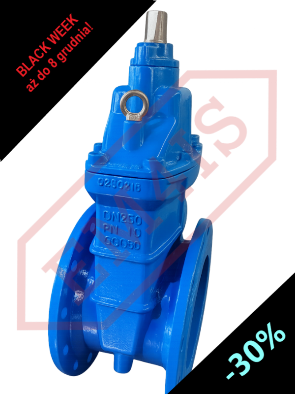 ZKO-K Rubberized flanged wedge gate valve for sewage - DN50 - DN300